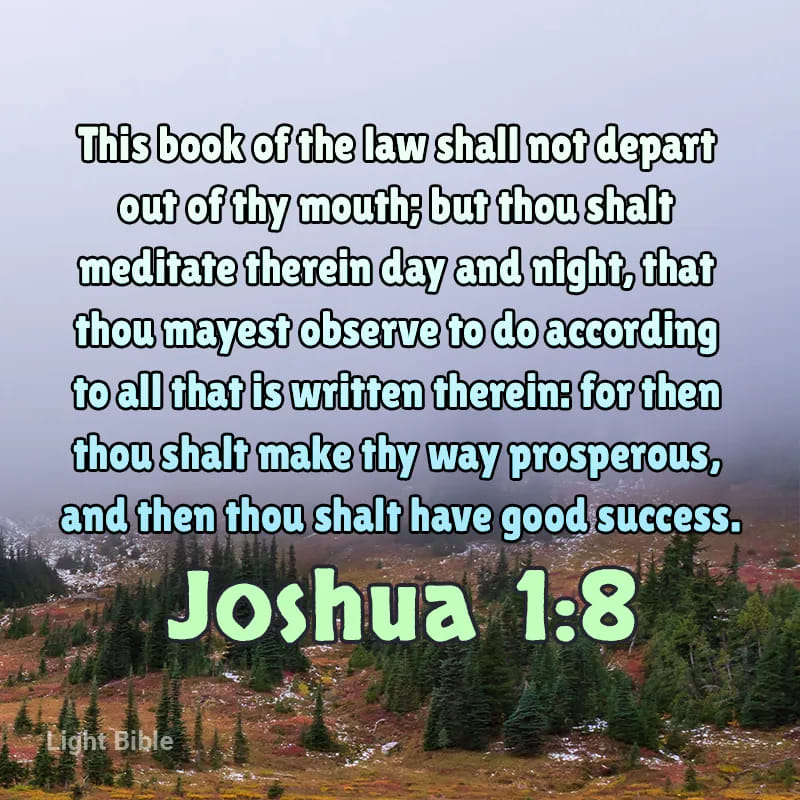 Please obey this important law!