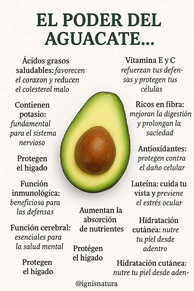 𝗘𝗹 𝗮𝗴𝘂𝗮𝗰𝗮𝘁𝗲: 𝗼𝗿𝗼 𝘃𝗲𝗿𝗱𝗲 𝗱𝗲 𝗹𝗮 𝘁𝗶𝗲𝗿𝗿𝗮 🌿🥑 Desde tiempos ancestrales, el aguacate ha sido mucho más que un alimento: es medicina natural, es energía pura, es raíz de vida para los