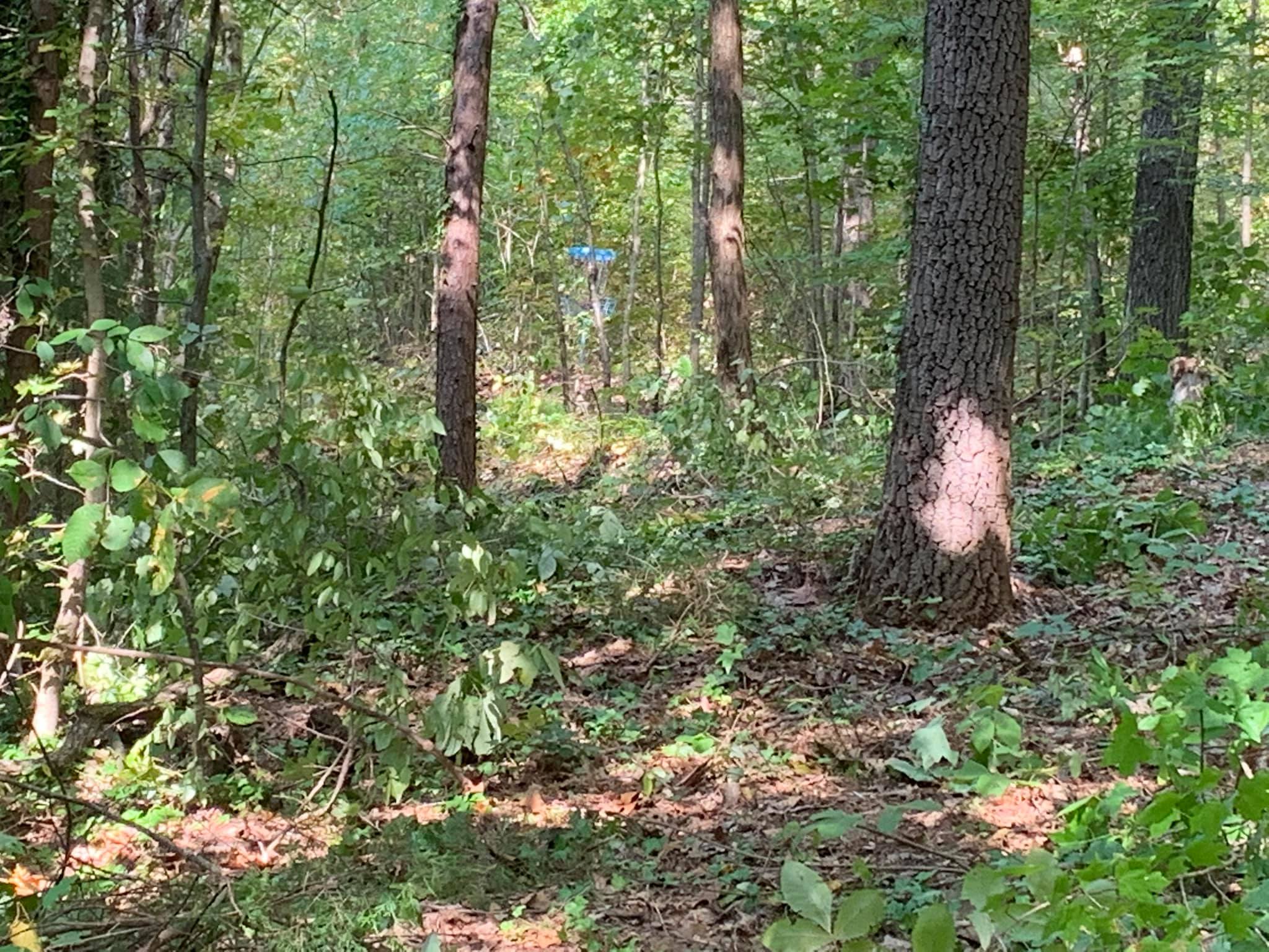 Ivy Ridge Disc Golf Course | Flintstone GA