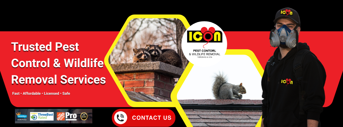 Icon Pest Control & Wildlife Removal | Richmond Hill ON