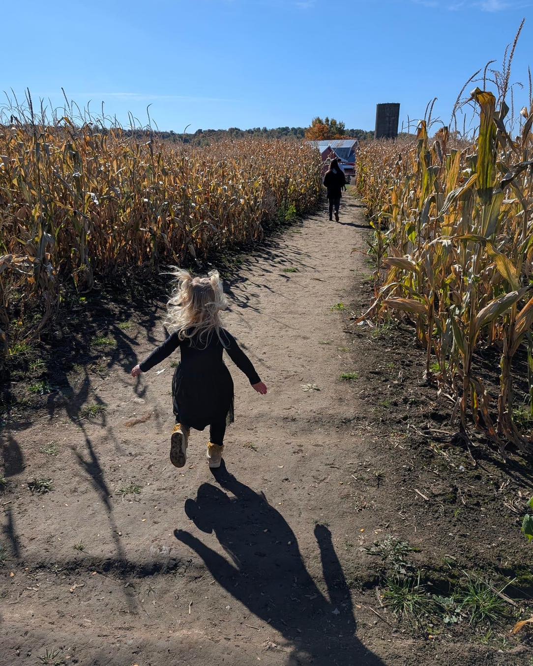 The final 10 days of our season are... - Old McDonald's Farm