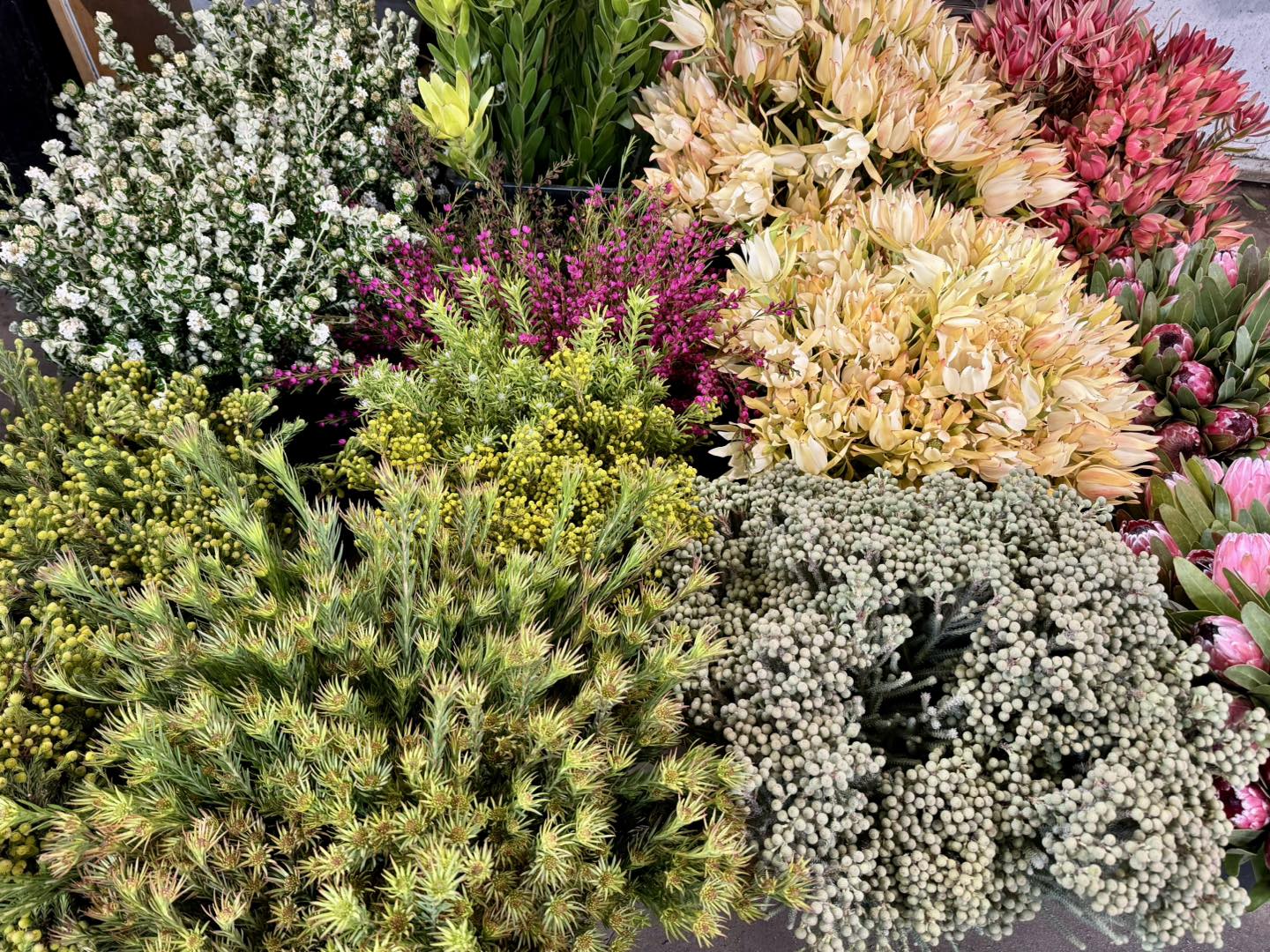 Allambee Flower Farm | Allambee Reserve VIC
