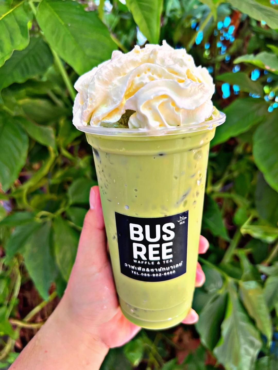 Busree วาฟเฟิล&ชาชักมาเลย์... - Busree วาฟเฟิล&ชาชักมาเลย์