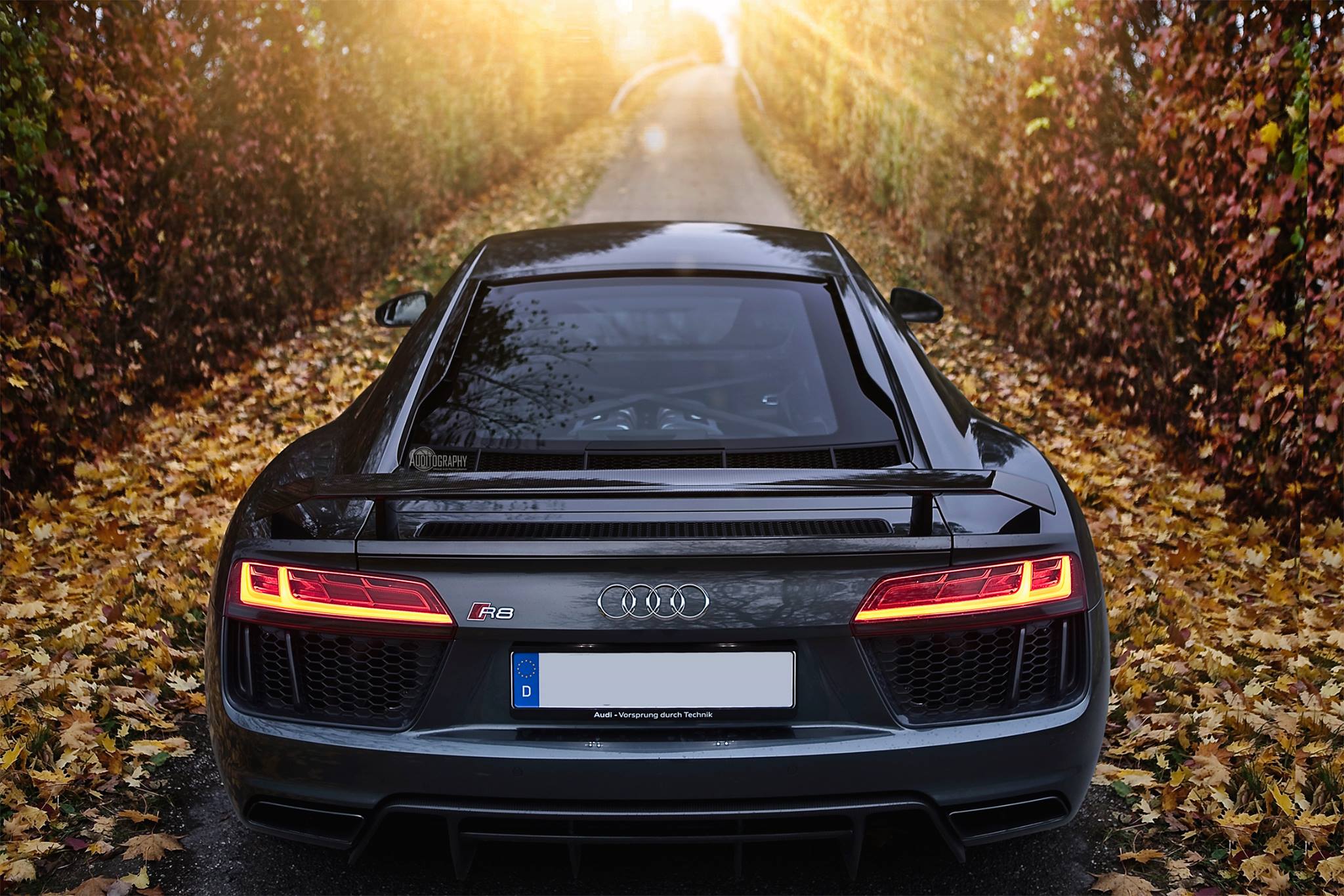 Auditography - Catching the beautiful autumn colors, with a beautiful ...