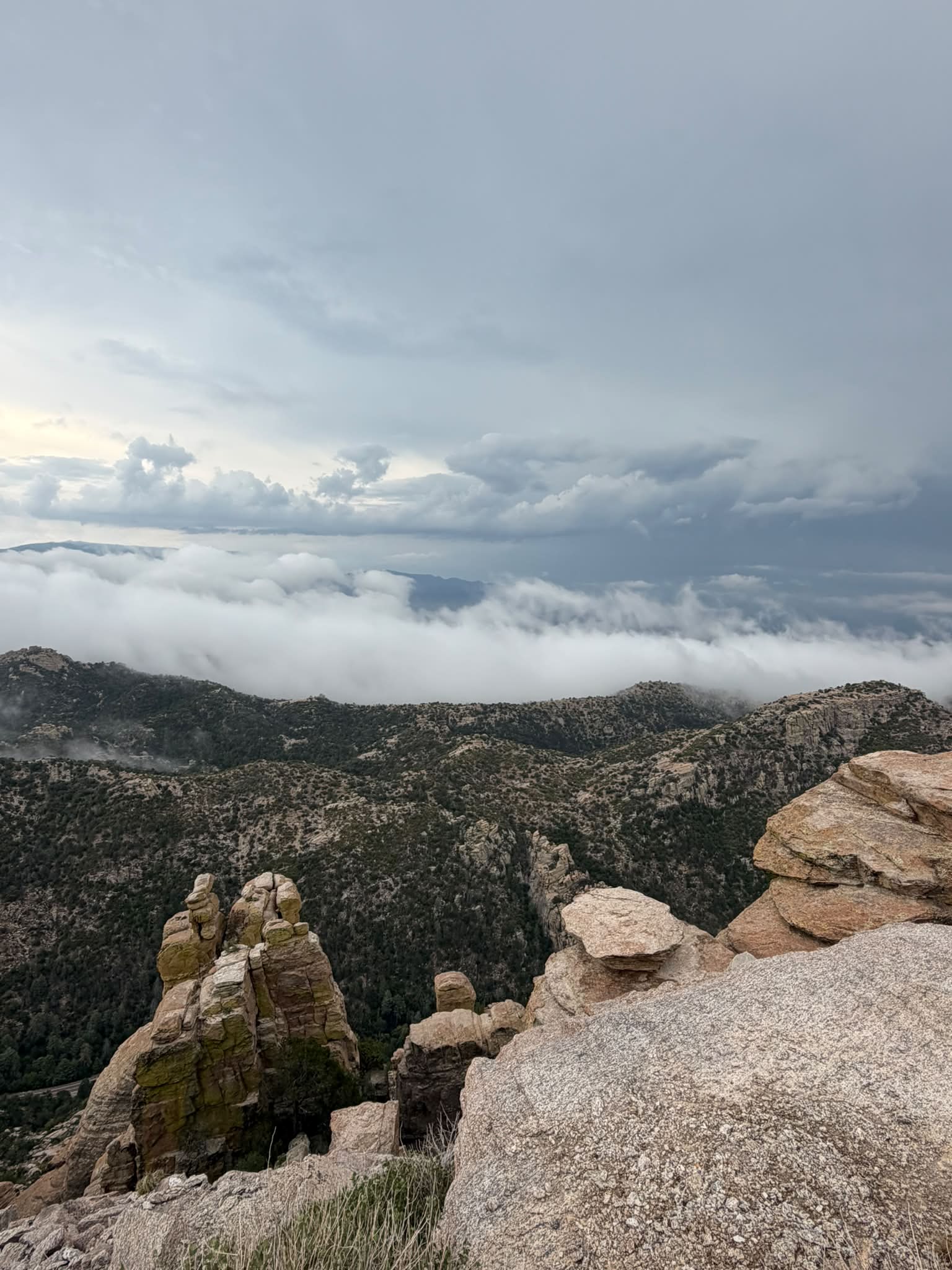 Tucson, Arizona under the storm clouds of the 2026 Monsoon Season