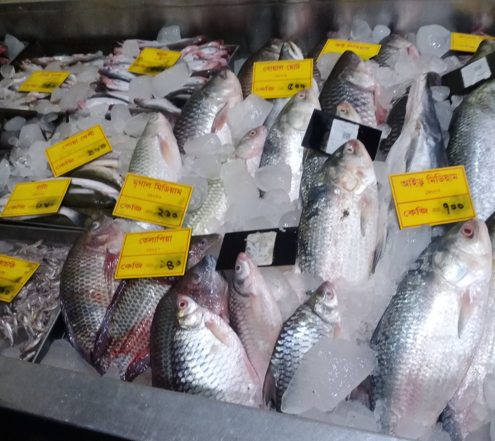 Halal Fish & Meat