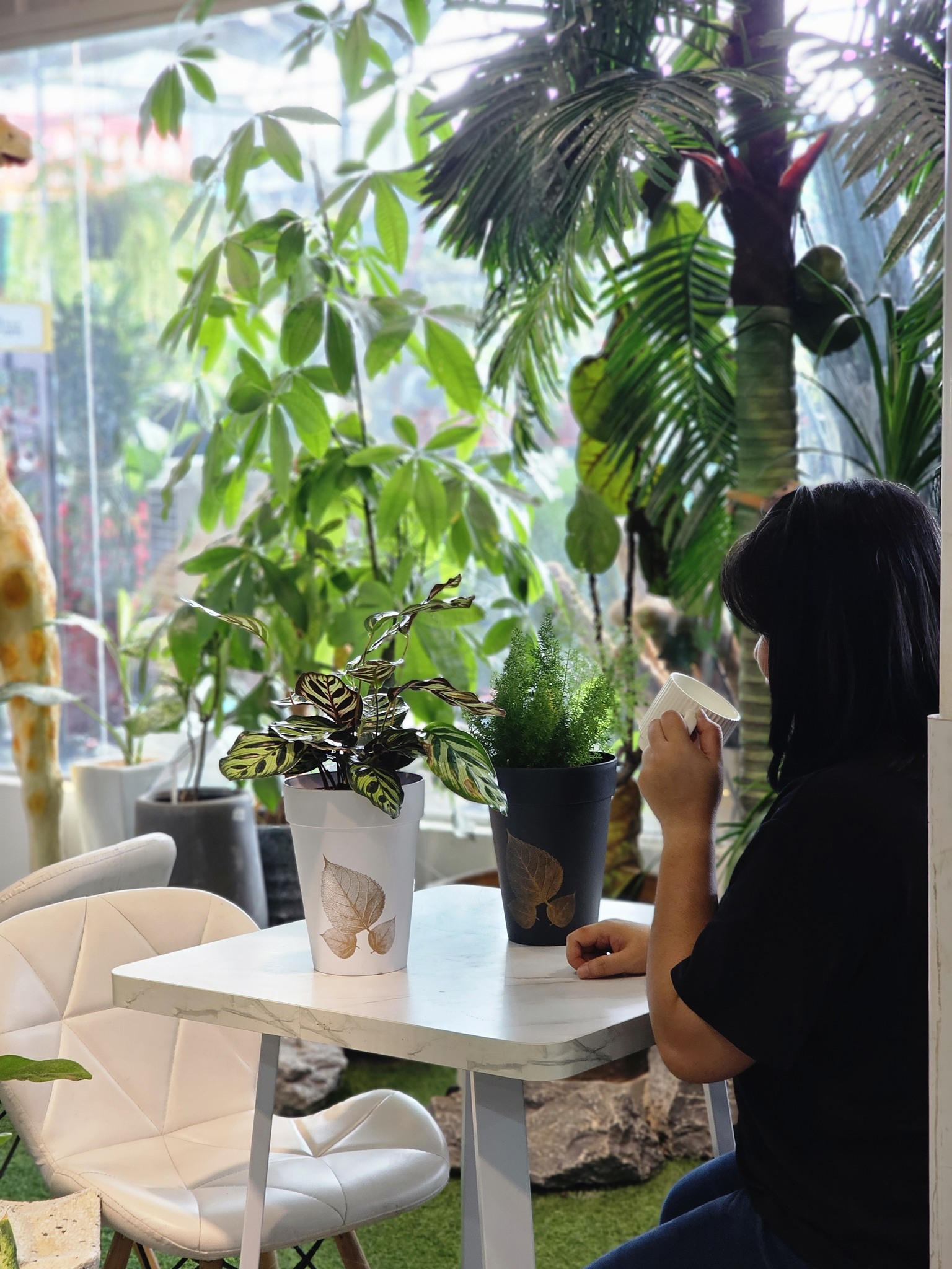 Hijauan Baba - 🪴 Pokok hijau tak memilih tempat, ☕ kopi... | Facebook