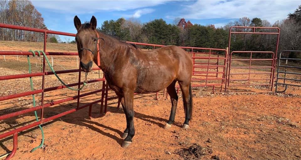 Rust Ridge Ranch L.L.C updated... - Rust Ridge Ranch L.L.C