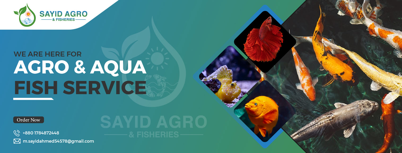 Sayid Agro & fisheries | Bogura