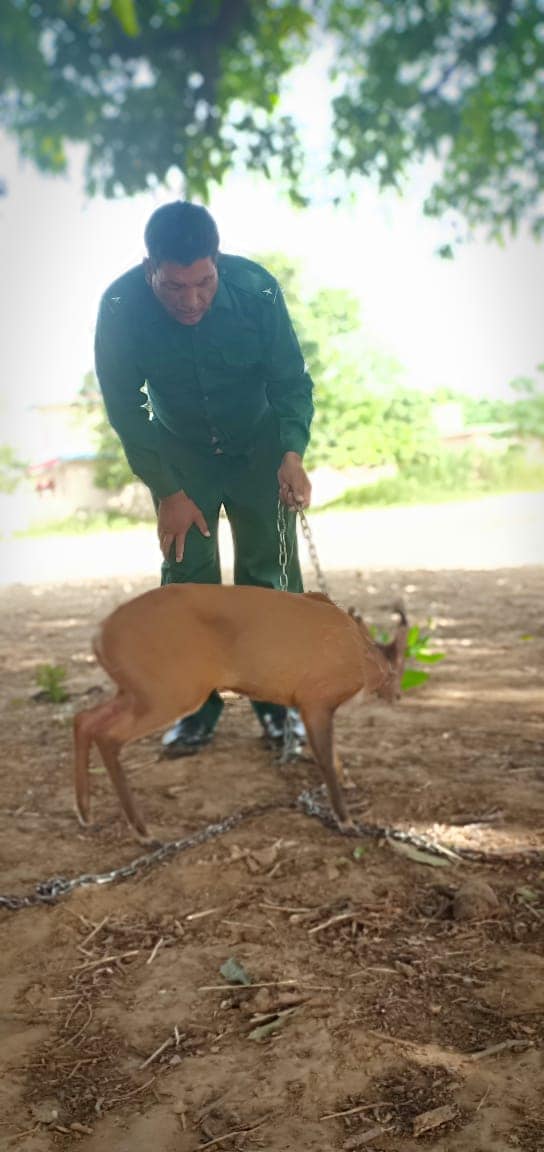 ‎Hunting with... - Hunting with Qaisar Raza شکار قیصر کے ساتھ