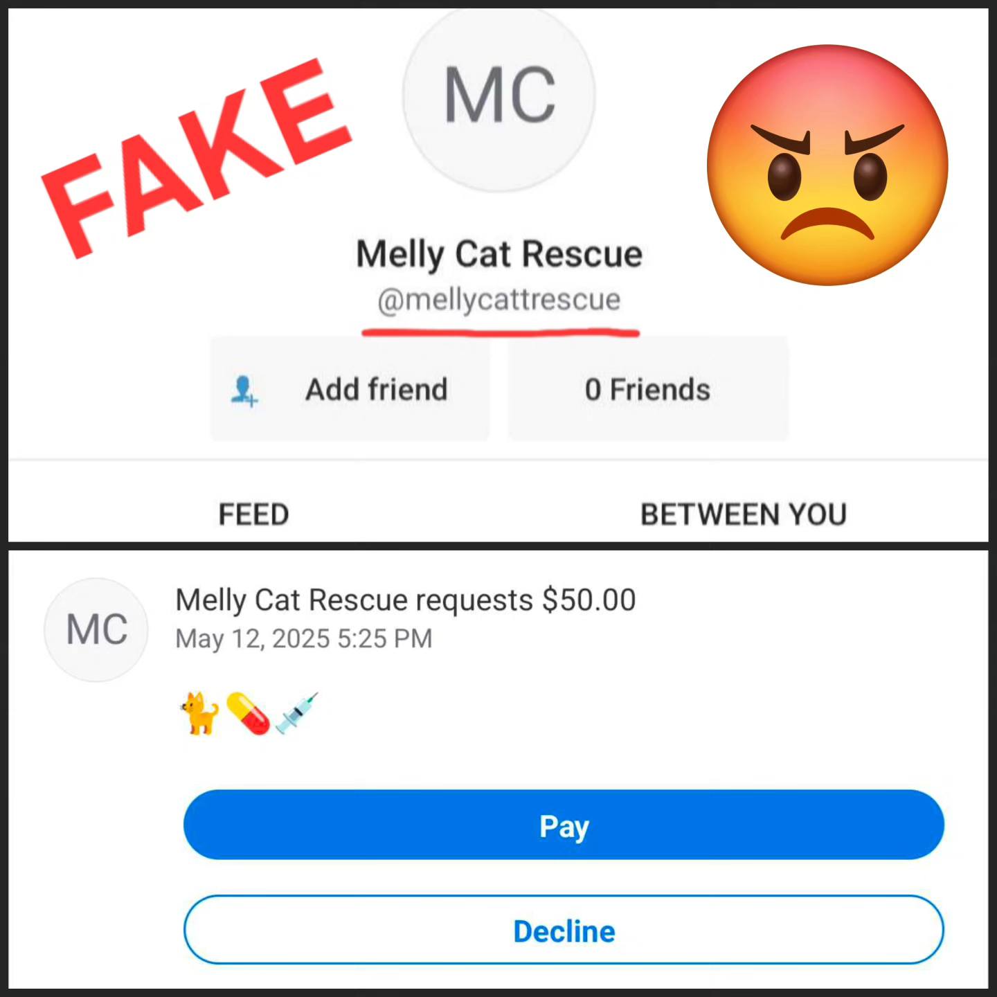 ‼️ SCAM ALERT ‼️ Someone is pretending... - Melly Cat Rescue | Facebook