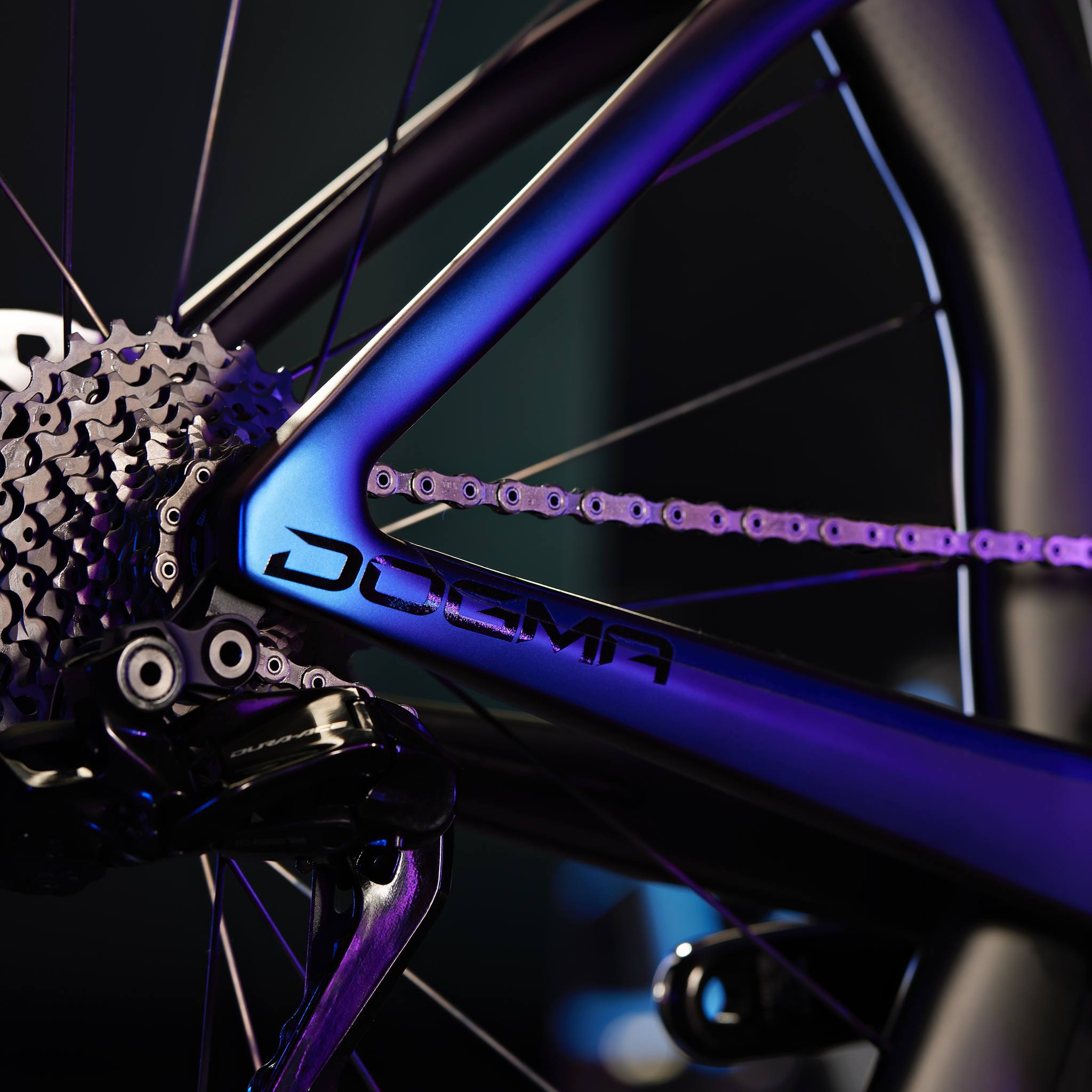 TM Bike | Rome