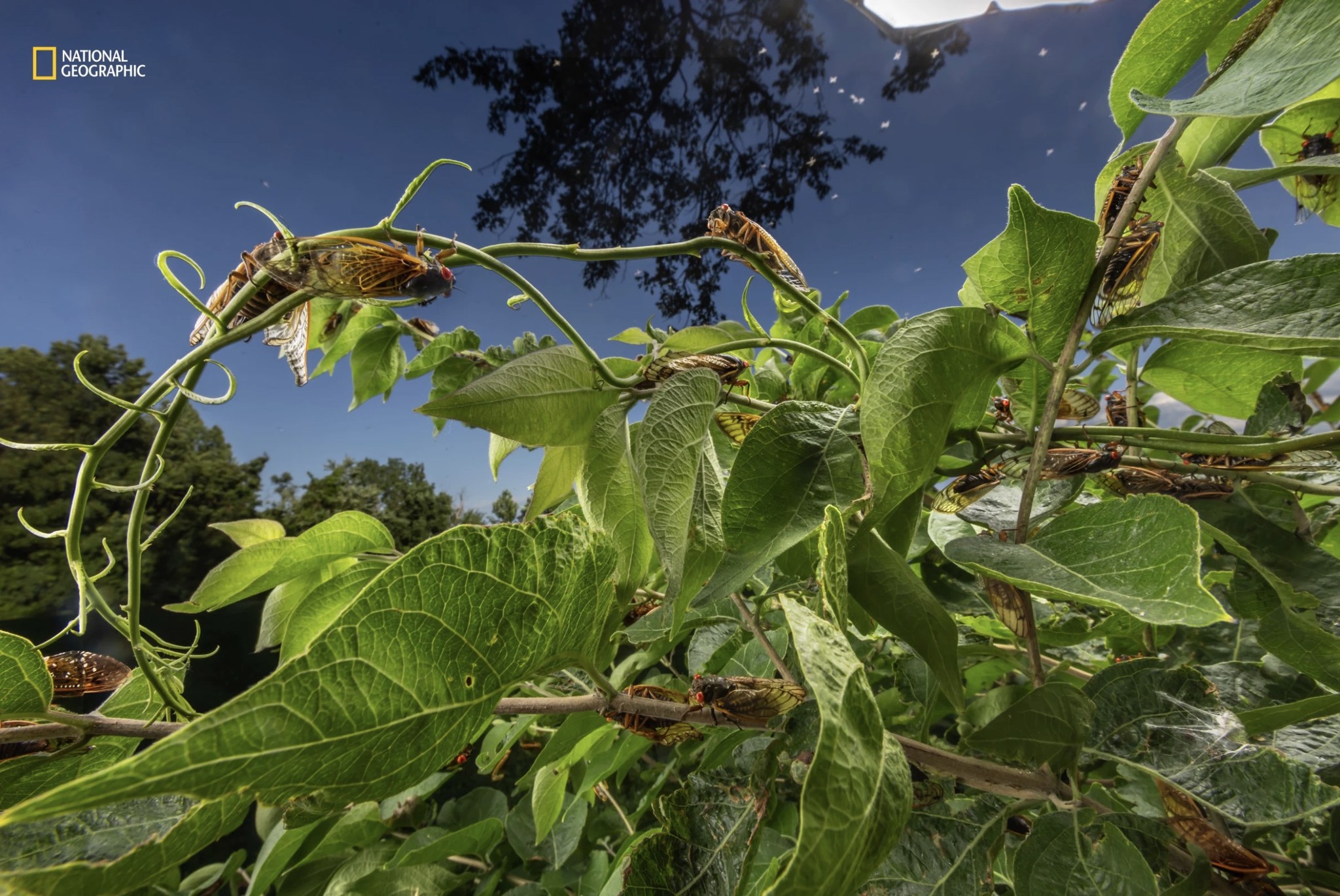 National Geographic photographers ventured to places far and wide