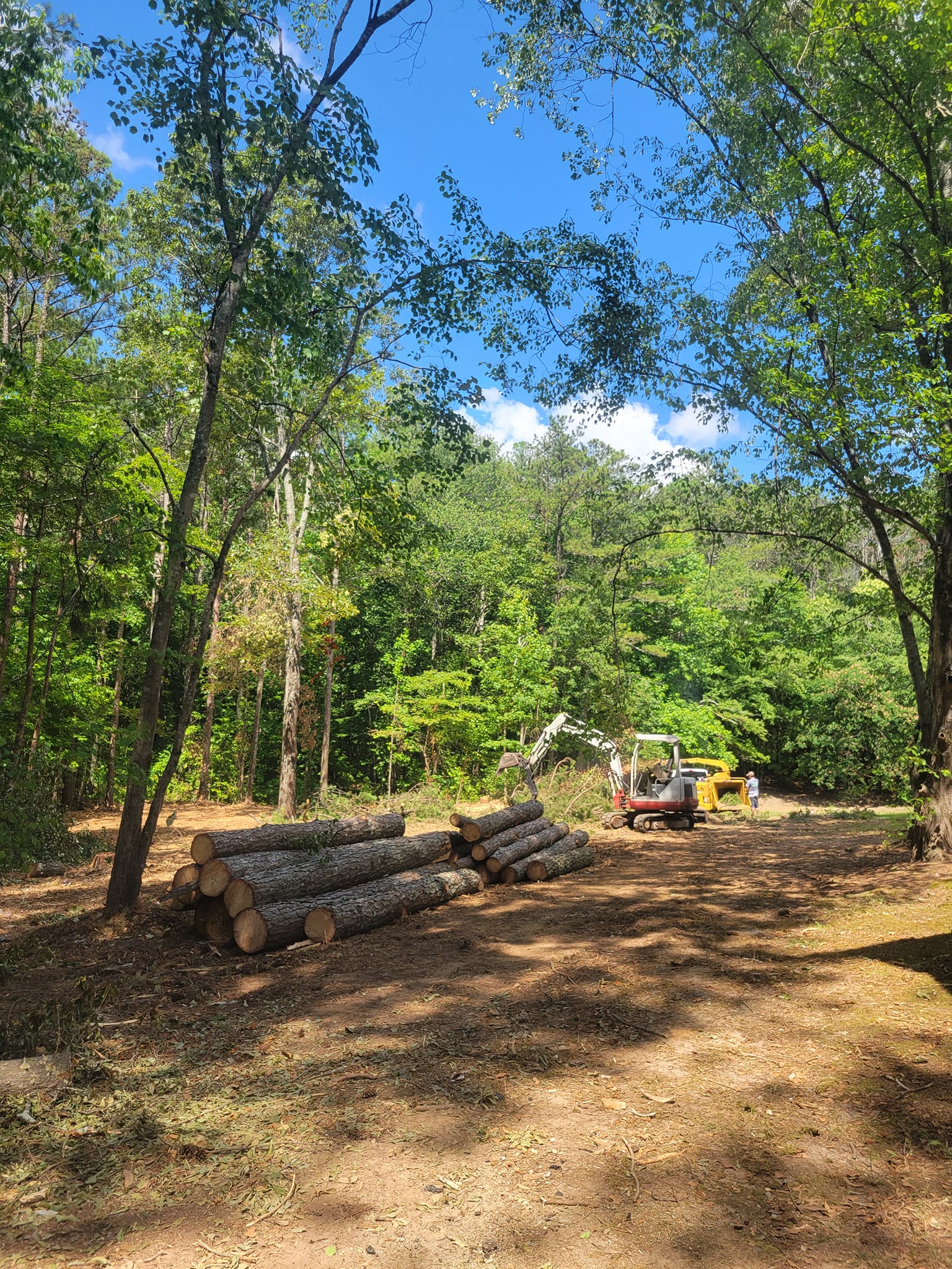 Summit Tree Service, LLC | Bremen GA