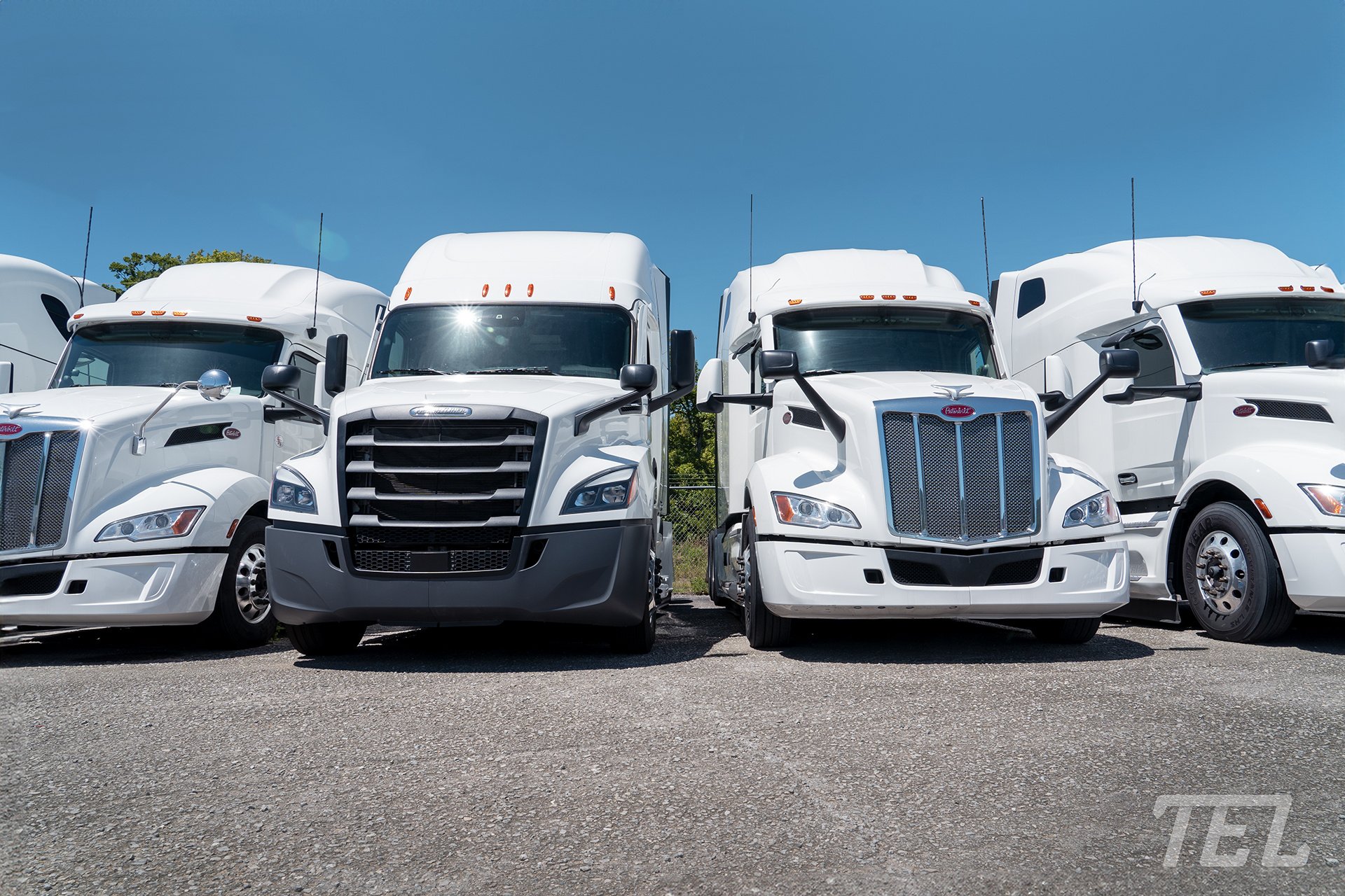 TEL - 🚚 Expand your equipment inventory with confidence! Our trucks and ...
