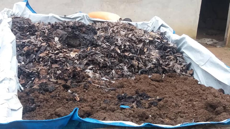 Vermi Composting Rwanda