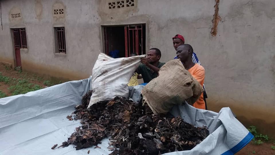 Vermi Composting Rwanda
