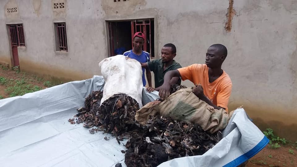 Vermi Composting Rwanda