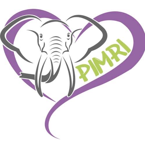 Free Free Alzheimer's Elephant Svg 567 SVG PNG EPS DXF File