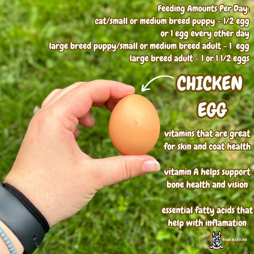 Lets talk 🥚Eggs🥚 for... - Raw Rations Pet Food and Wellness