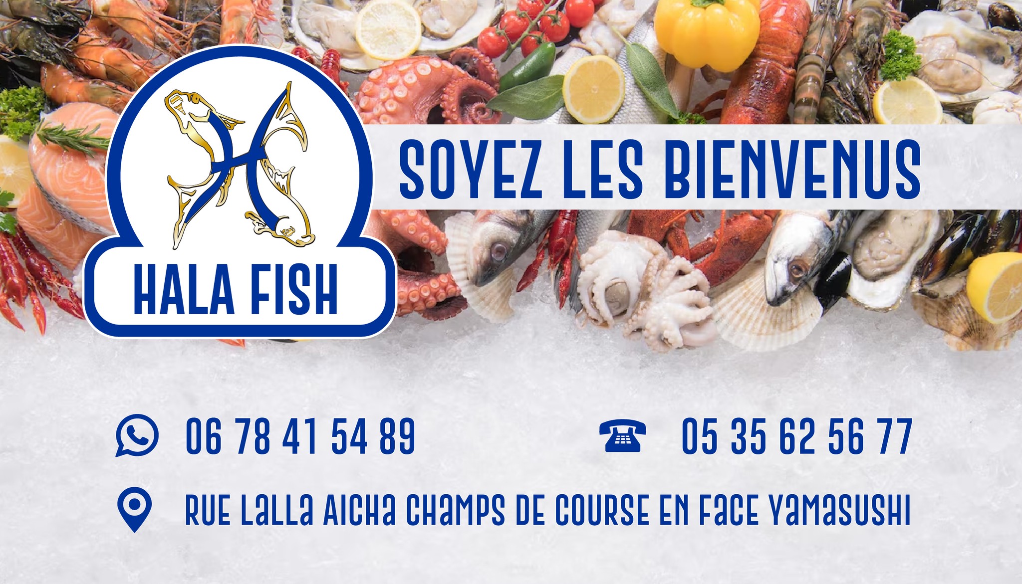 Hala fish | Fez