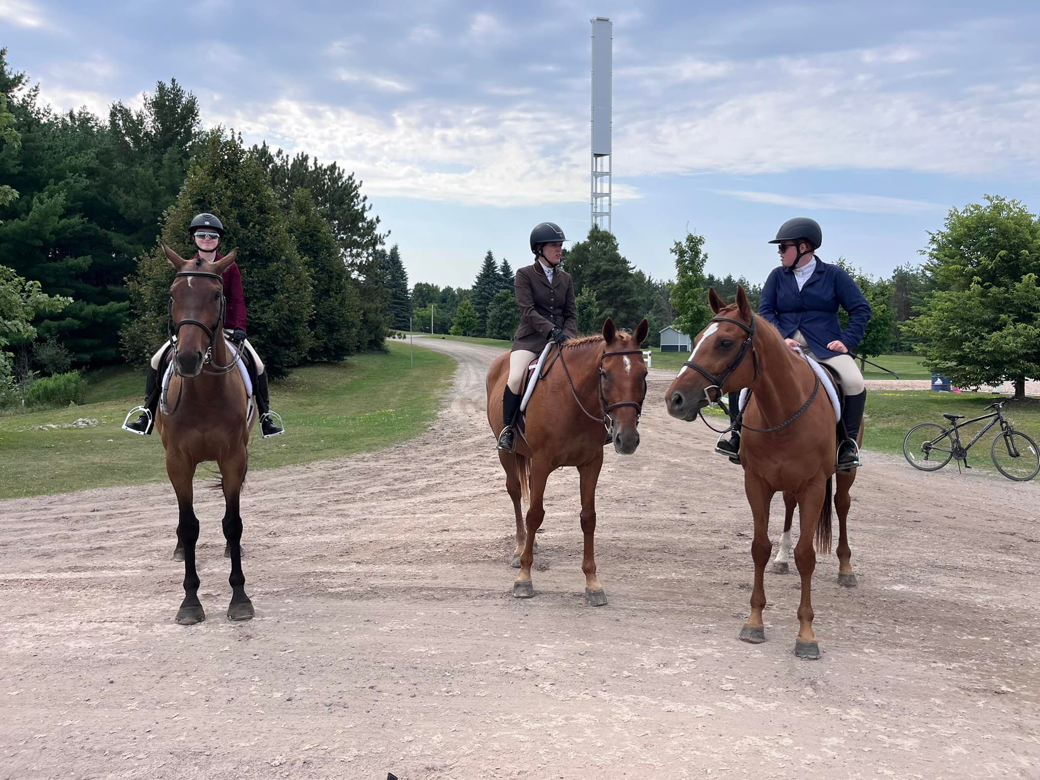 Chomar Equestrian | Nobleton ON