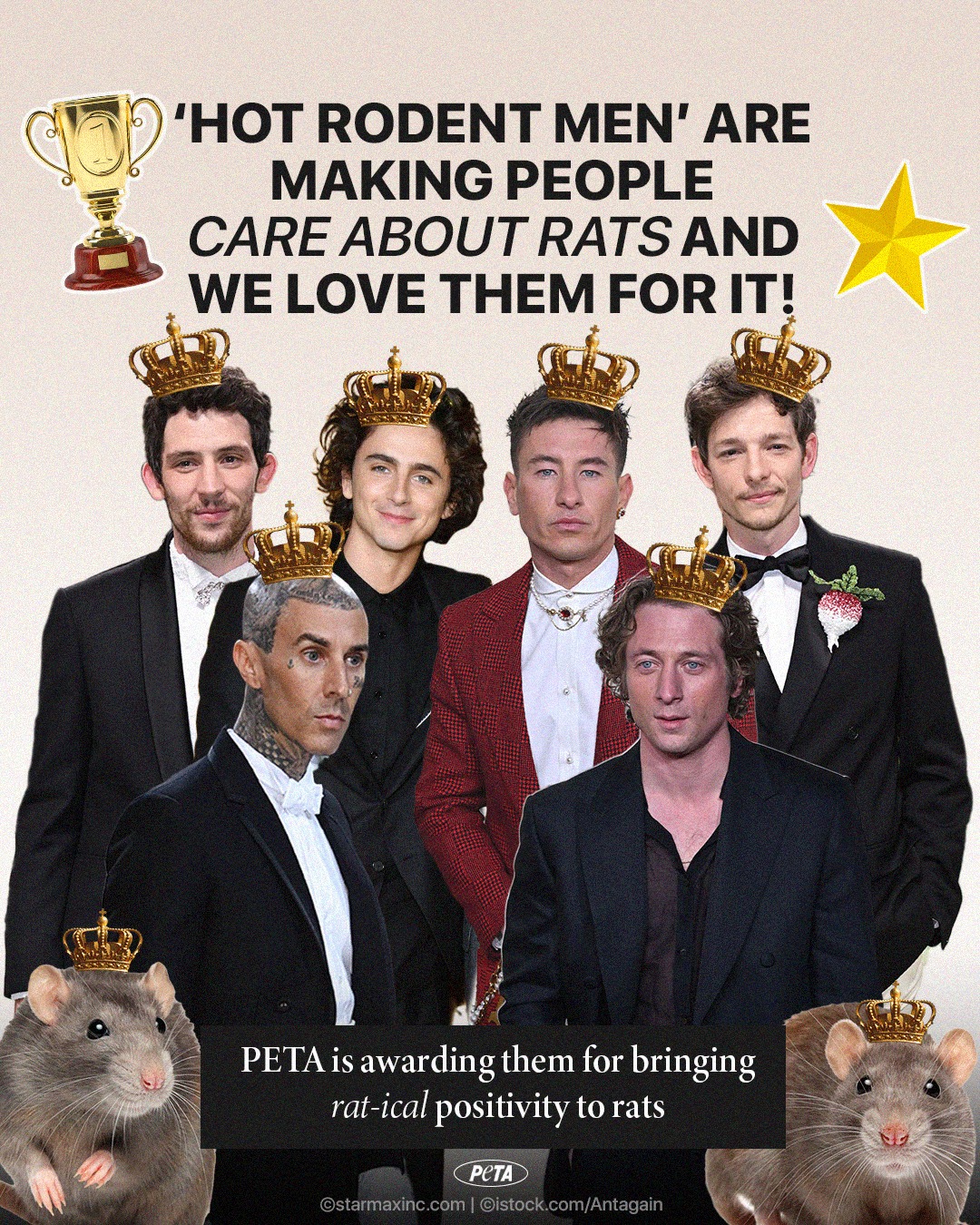 PETA - Thank you, #HotRodentMen, for helping people see that rodents ...