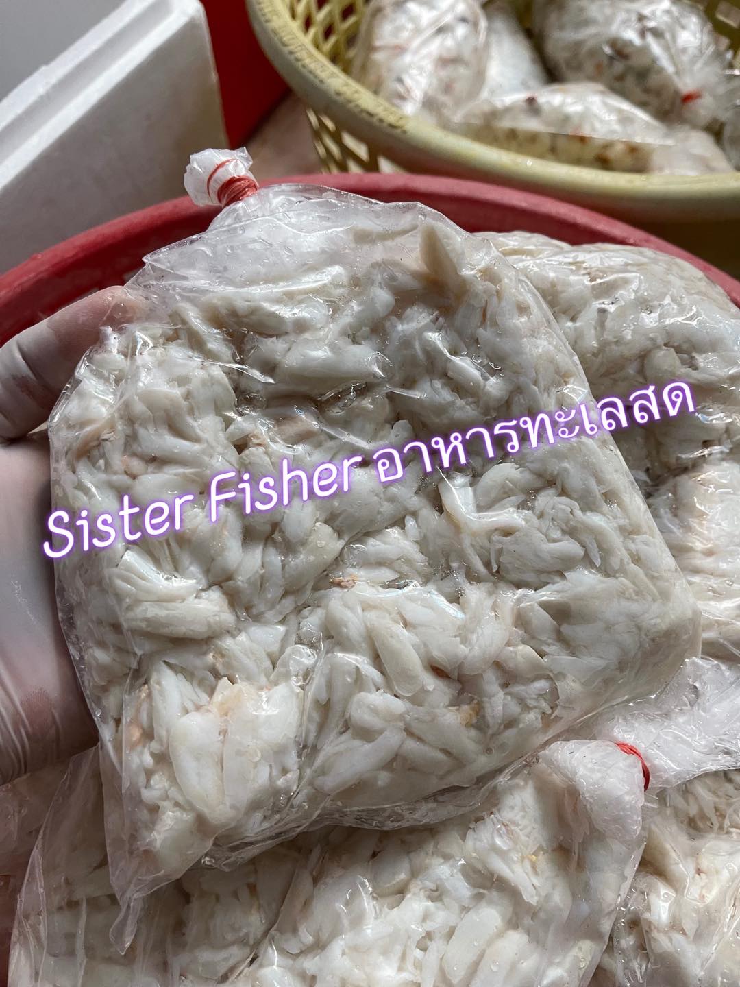 Sistér Fishér อาหารทะเลสด
