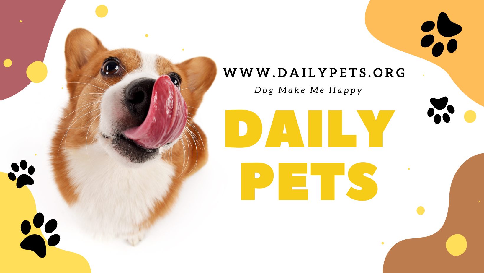 Dailypets.org