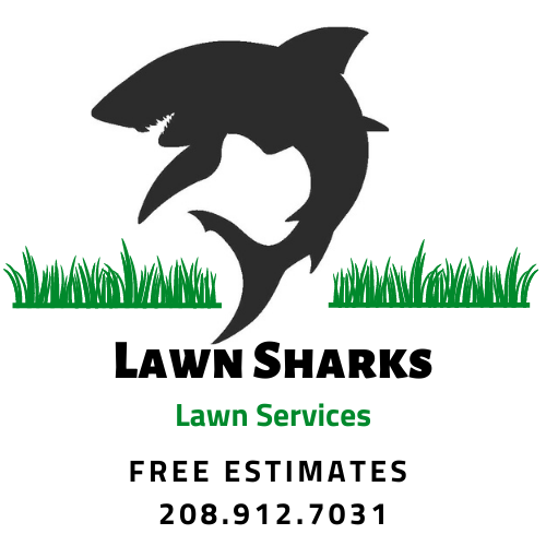 Lawn Sharks Lawn Services LLC. | Boise ID