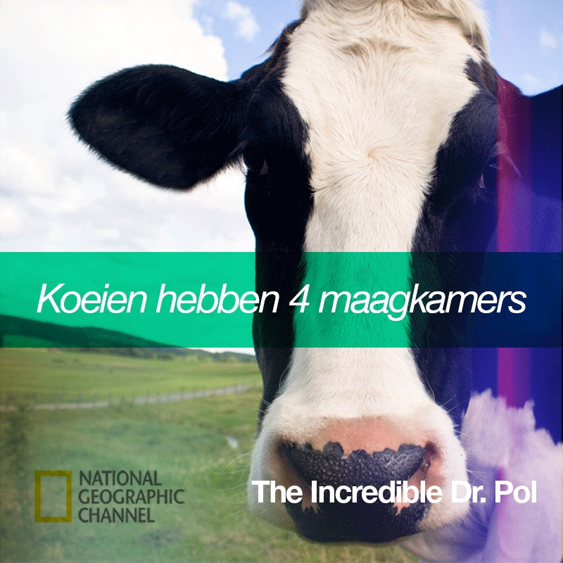 National Geographic - Weet jij het verband tussen de maagkamers en het ...