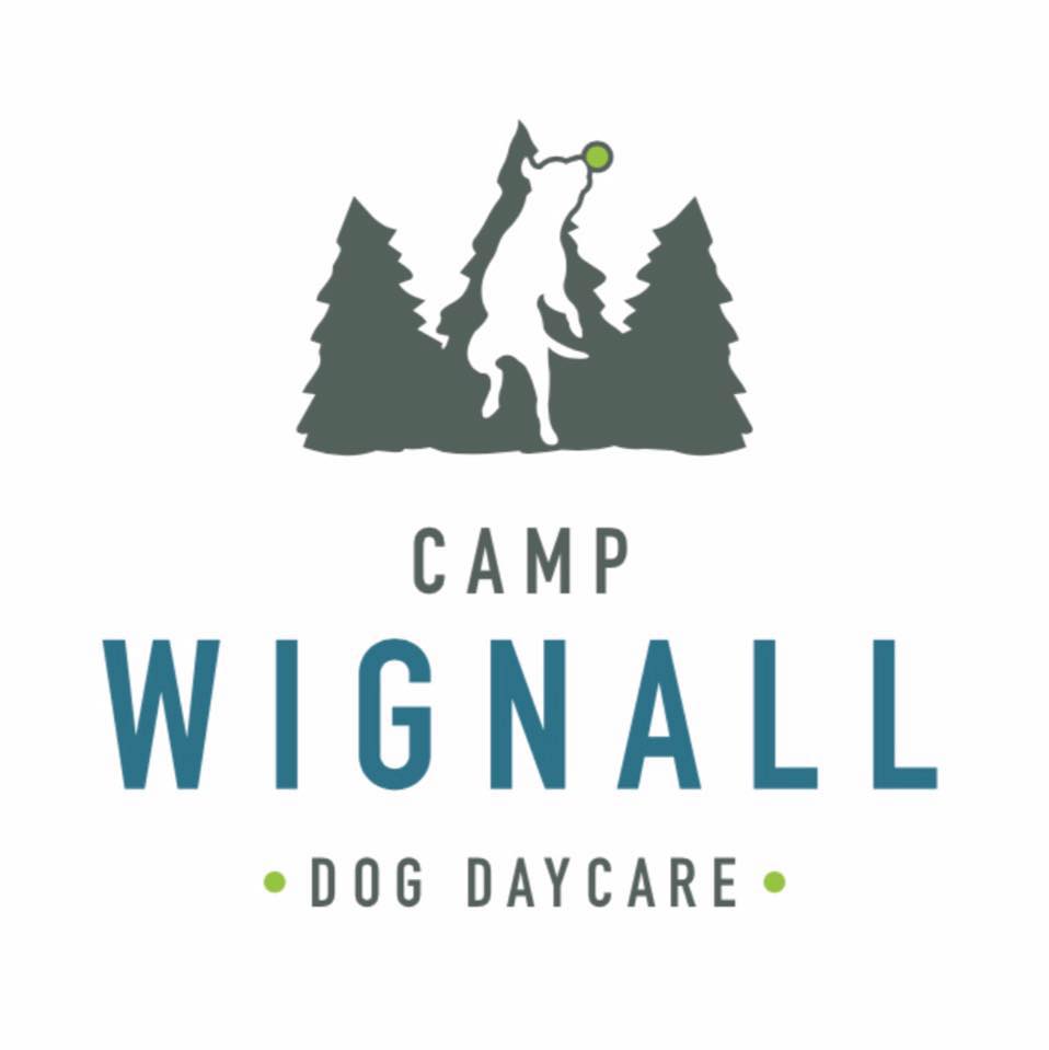 Camp Wignall -... - Camp Wignall - Boarding and Daycare