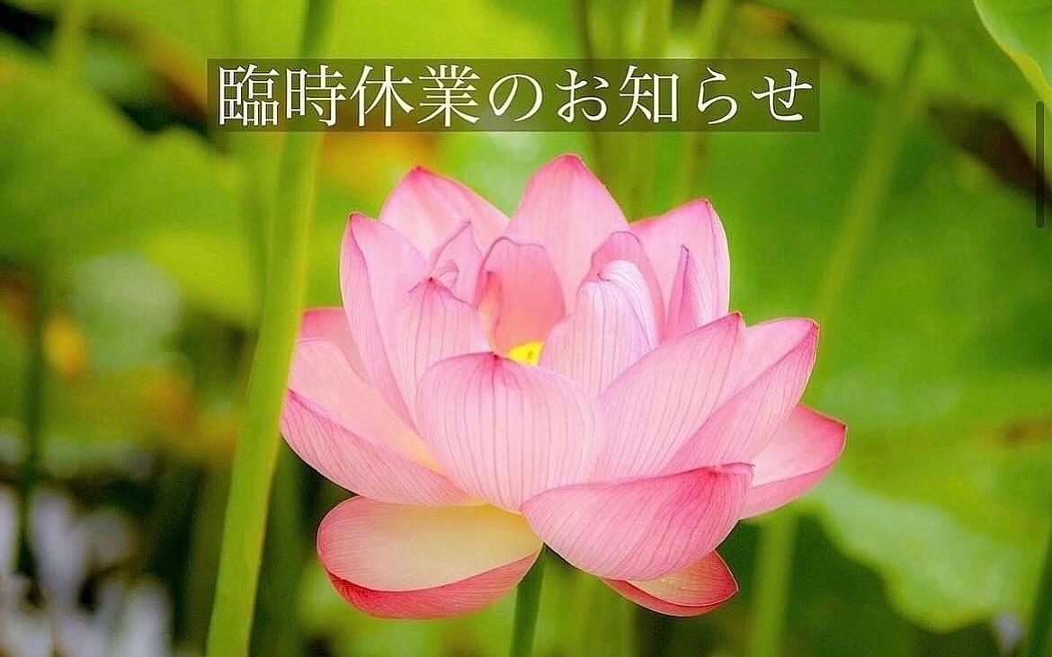アジアン雑貨ダナン | Taito-ku Tokyo
