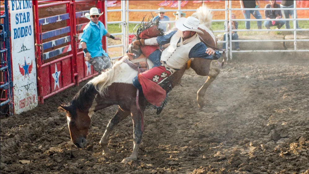 Flying Star Rodeo 2023 Live