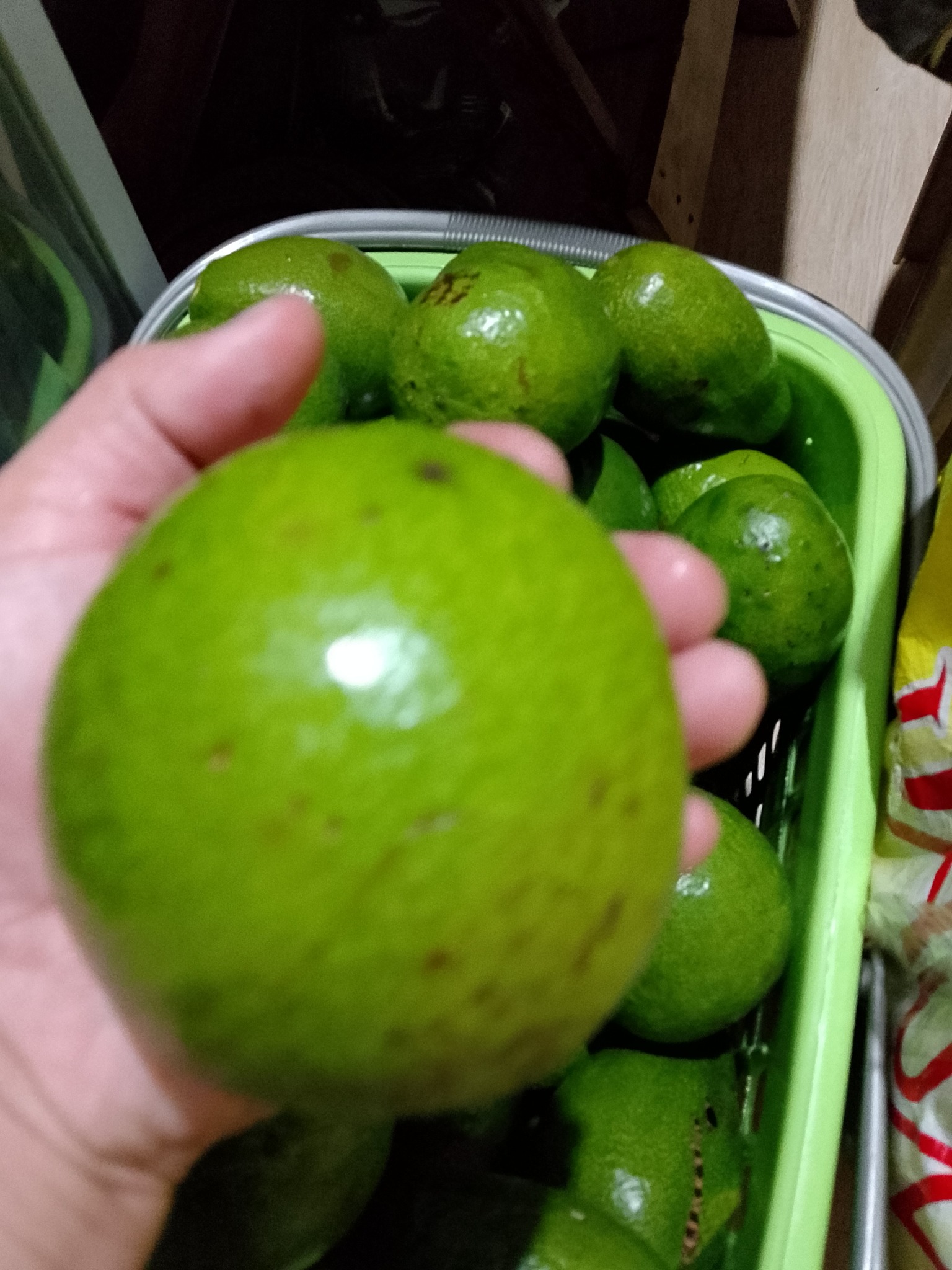 Grand Royale Subdivision | PTPA ADMIN: ONHAND avocado pahinugin 2-3 ...