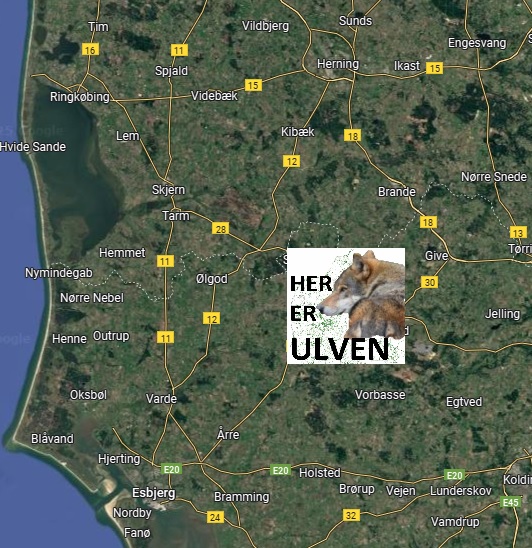 Her er ulven i Danmark added a... - Her er ulven i Danmark