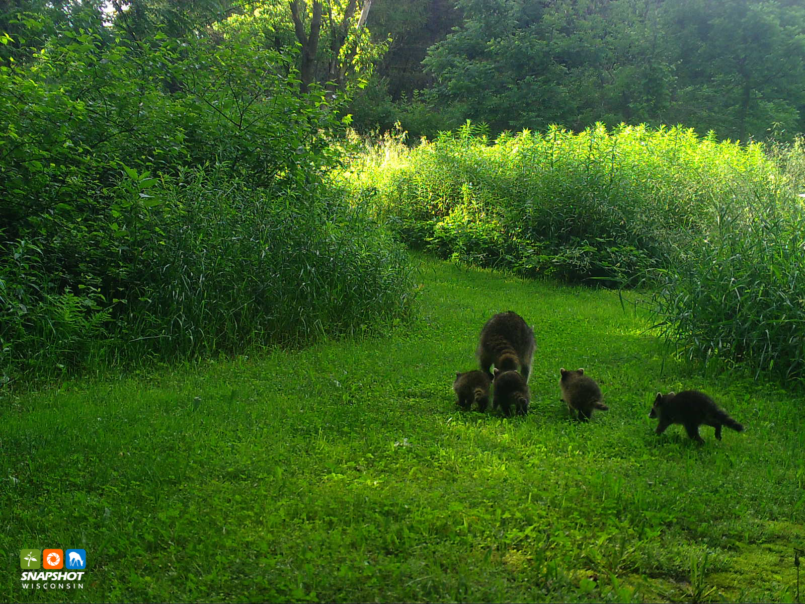 Wisconsin... - Wisconsin Department of Natural Resources