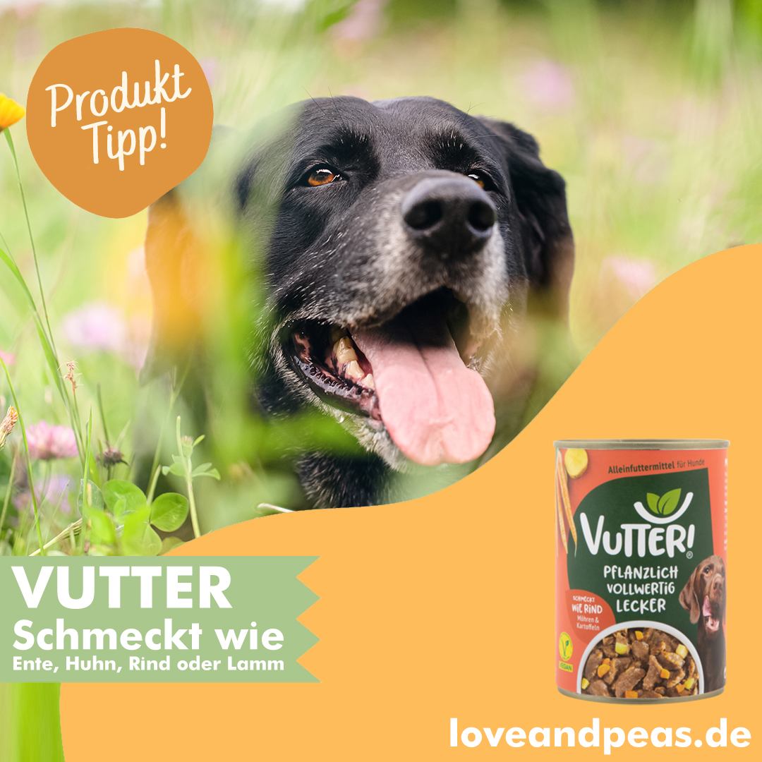 trockenfutter hund mit pferd Nassfutter RanchHorse "Pferd mit Skartoffeln" fr Hunde