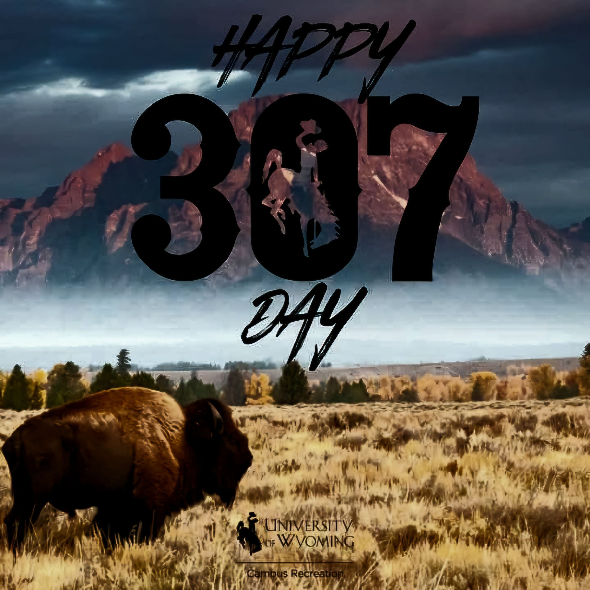 What's the significance of the number 307 in Wyoming?