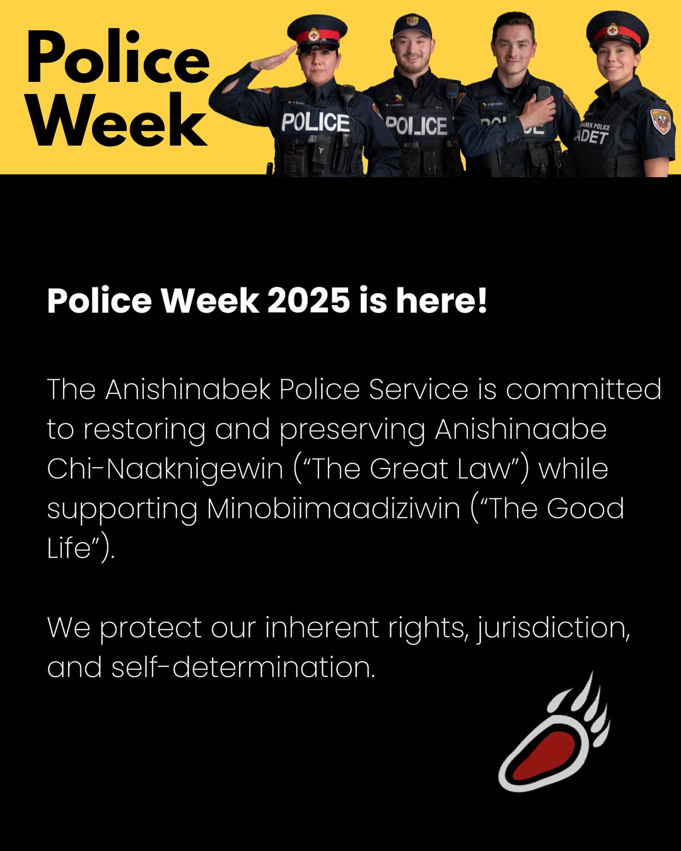 Anishinabek Police Service