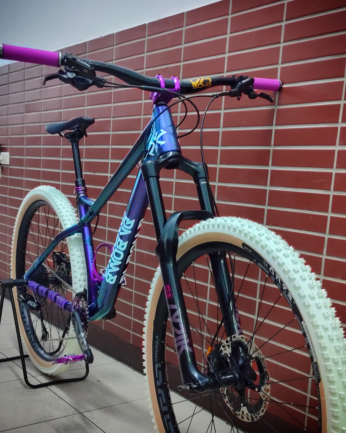 Dabomb Sentinel 29 bike with gloss chameleon frame