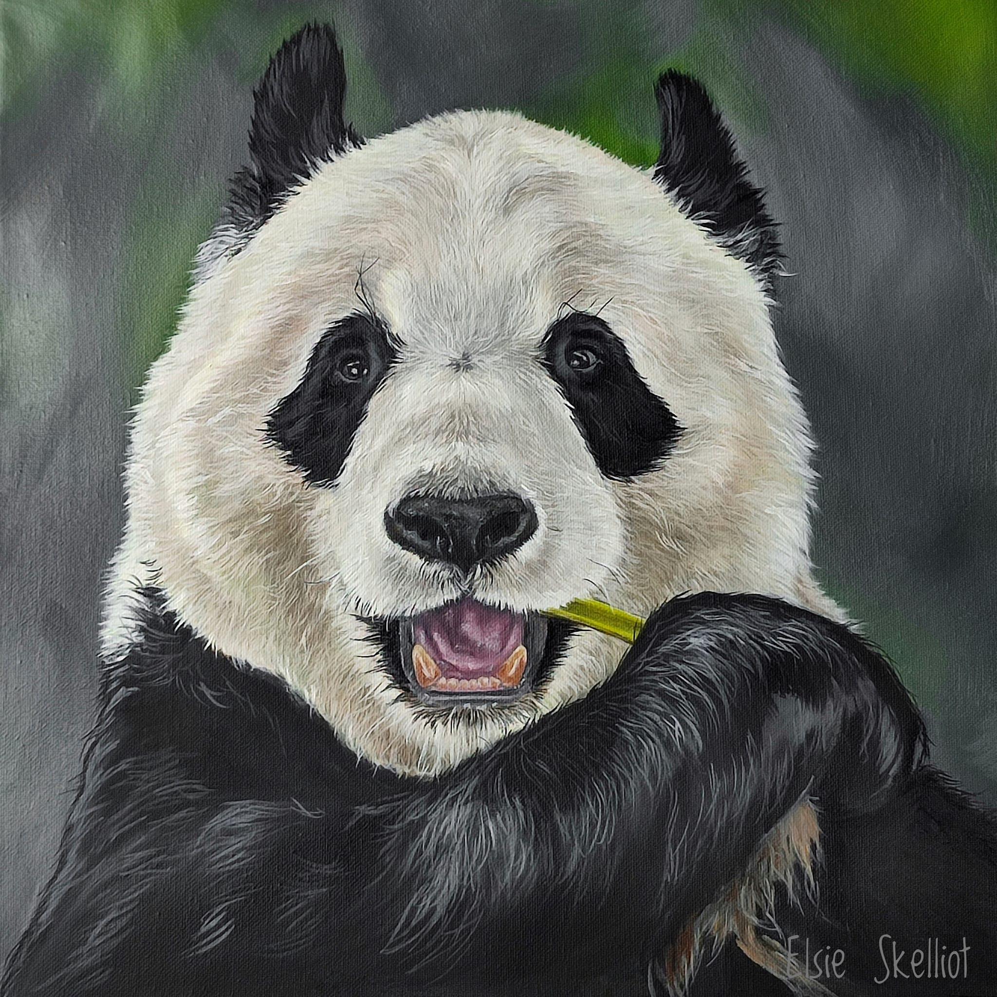 Elsie Skelliot's oil painting Tian-Tian Panda