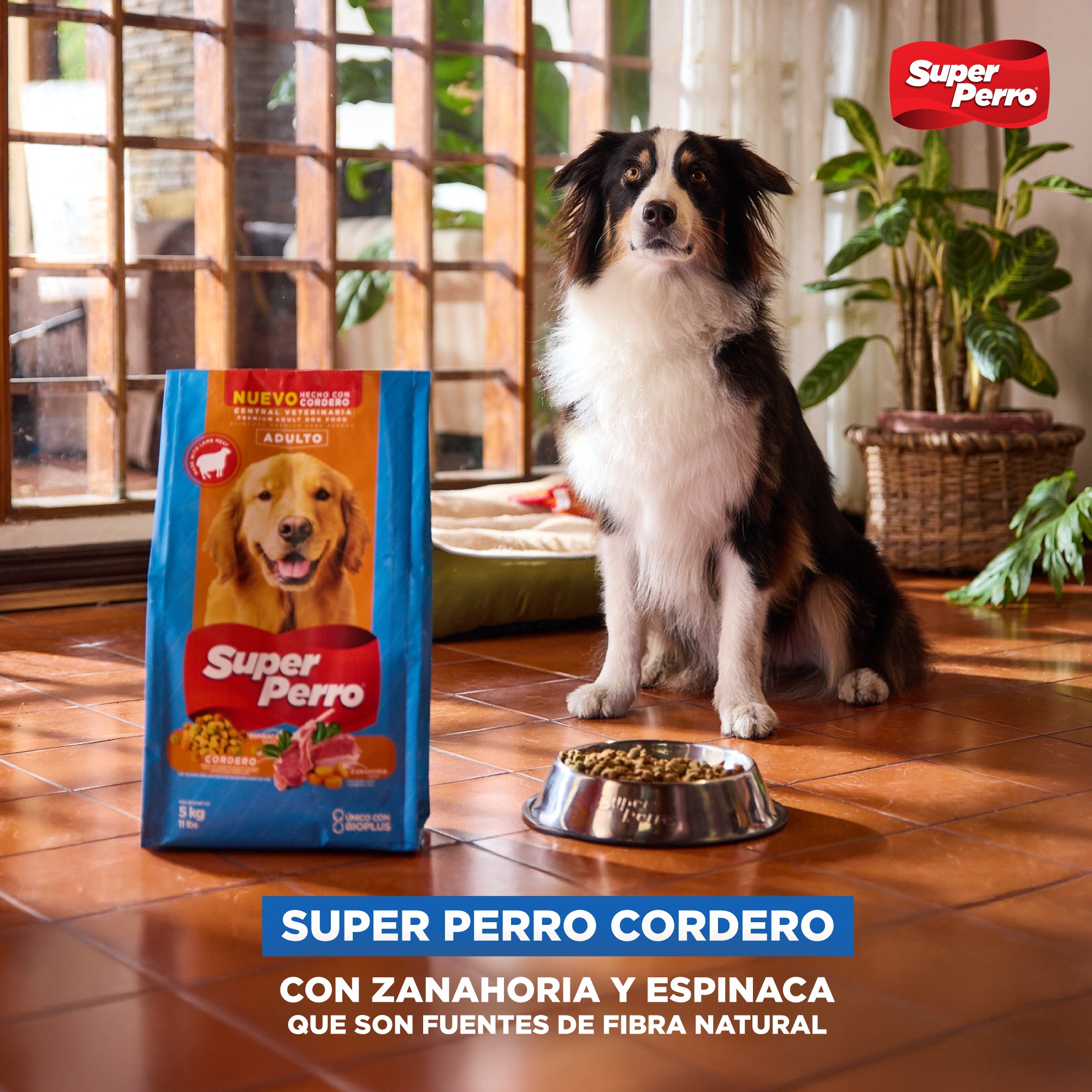 Super Perro