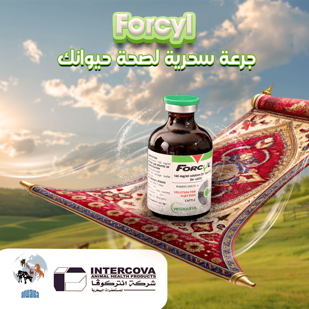 دلوقتي مع Forcyl... - ALWalaa Company For Veterinary Drugs