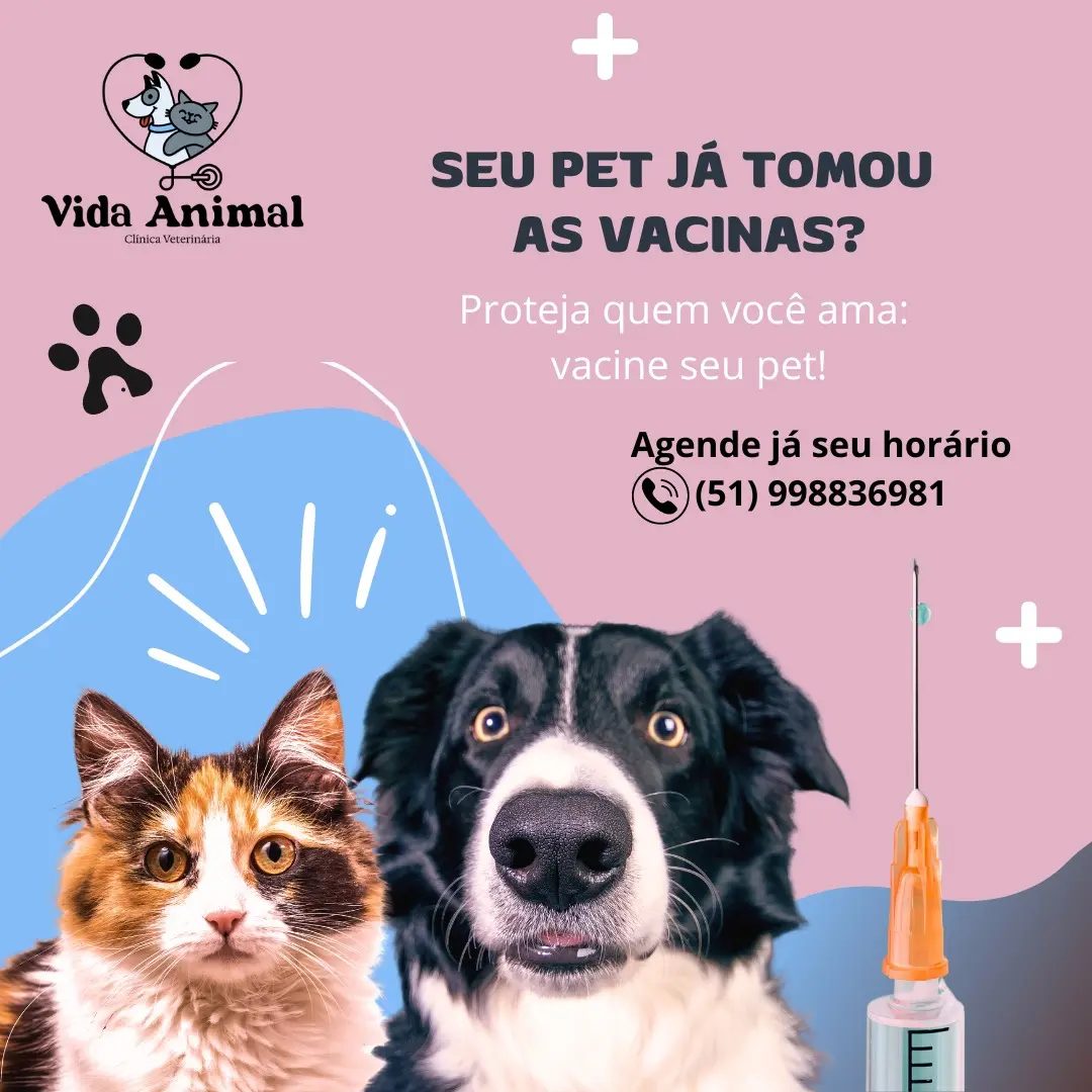 Clinica Vida Animal - Cães ficam gripados, assim como os seres humanos ...