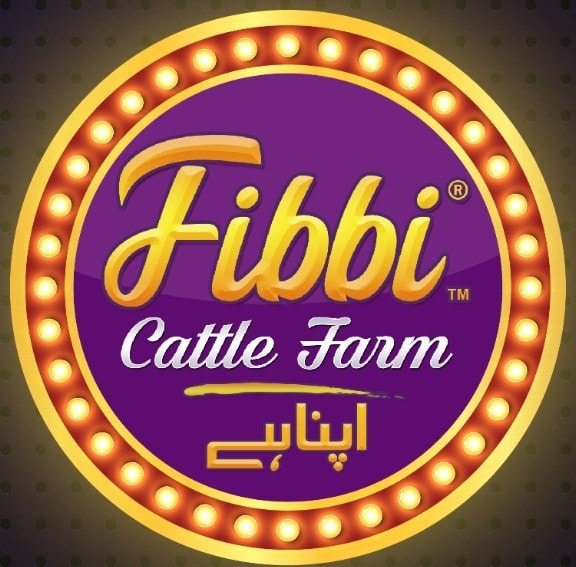 MAA SHA ALLAH 💞 Bicholi bachri in town **HEER ...