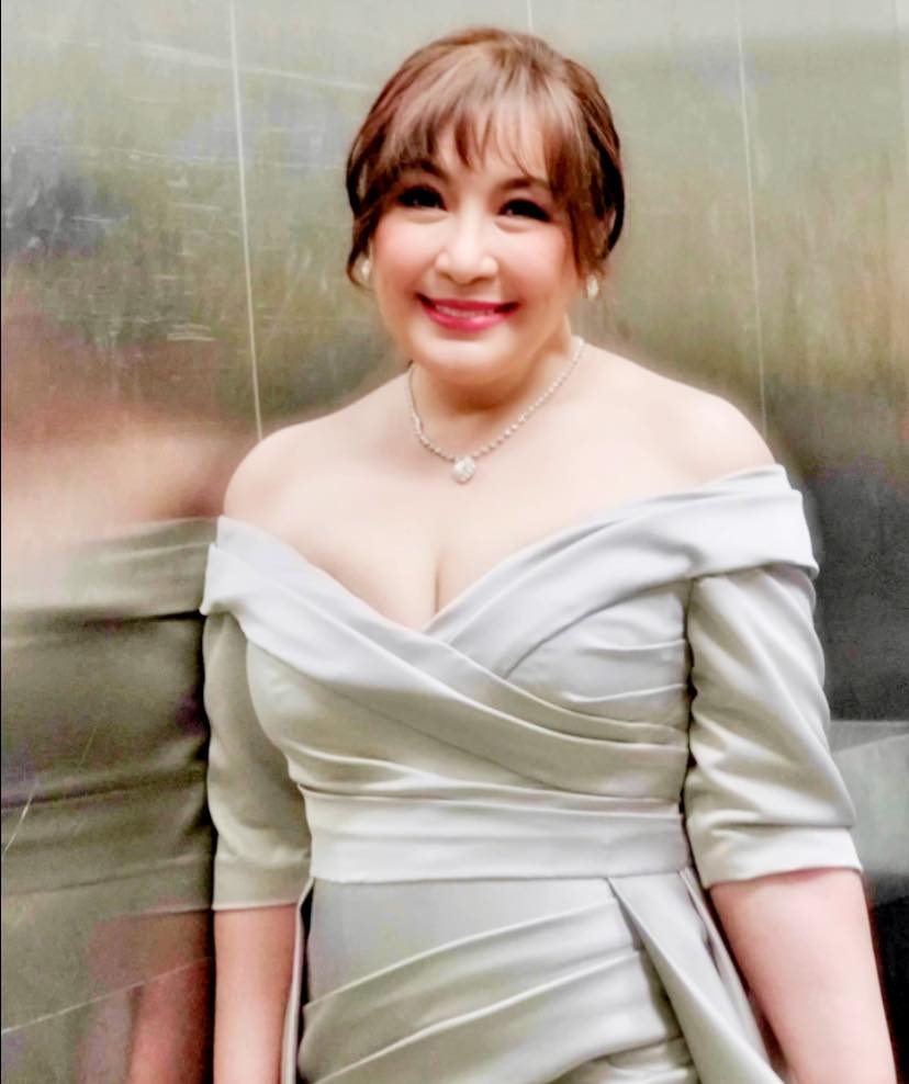 sharon cuneta casual dress and KC Concepcion Stun in the Same Red (📷: Instagram l kristinaconcepcion/reallysharoncuneta ) #SharonCuneta #KCConcepcion #MotherDaughterFashion White Microfiber Point Collar Color:Blue/Pink Fairytale Ivory Green Red dress