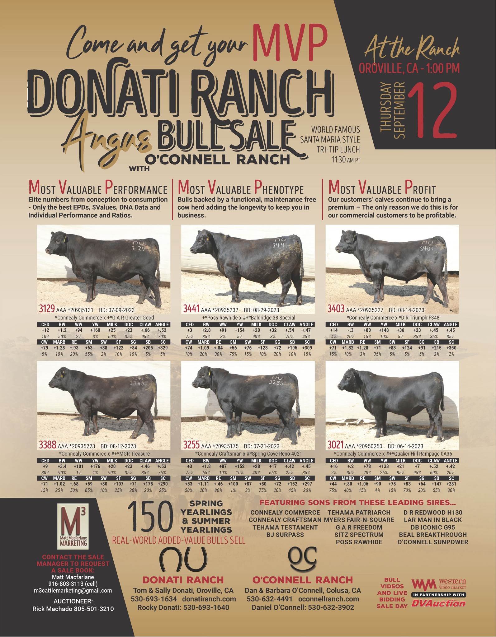 Donati Ranch Angus | Oroville CA