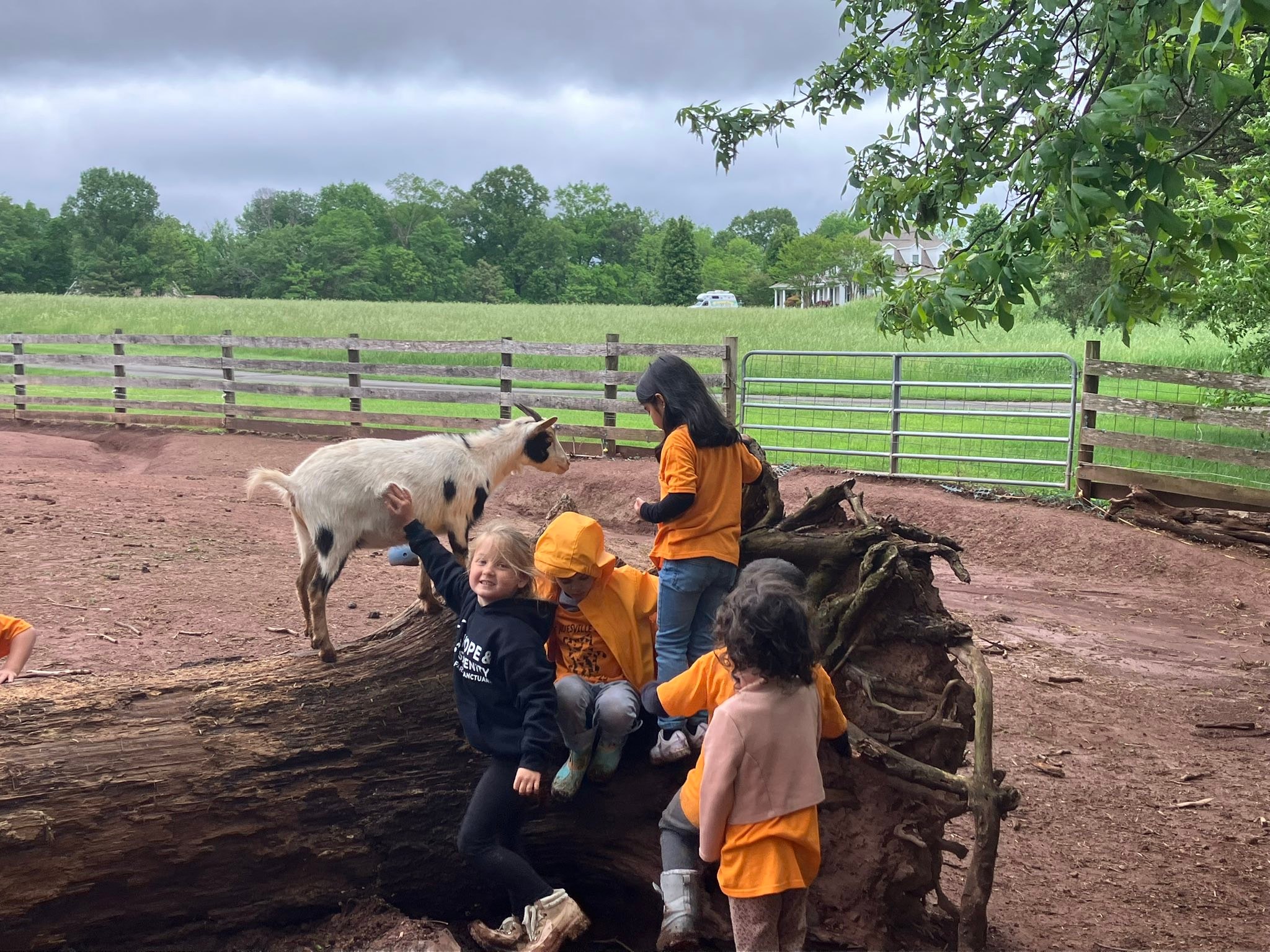 Hope & Serenity Farm Sanctuary | Nokesville VA