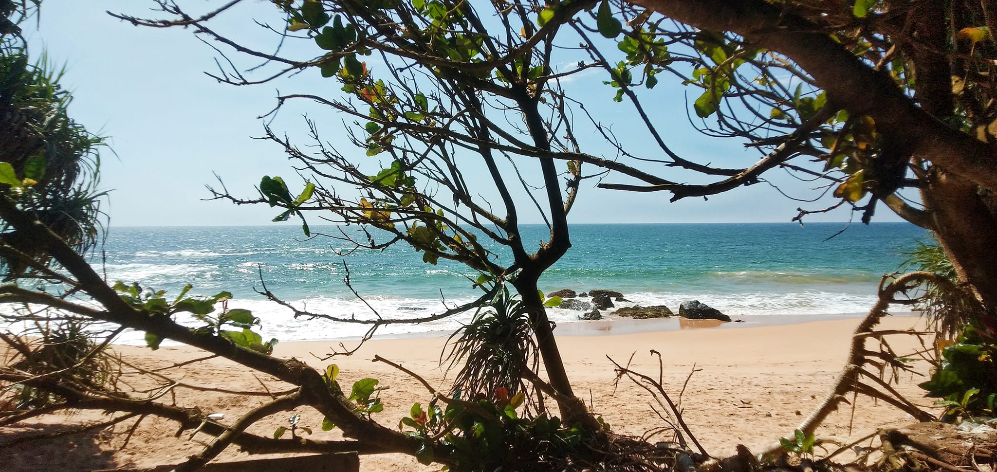 Pulasthi Amarasinghe | Kadawata